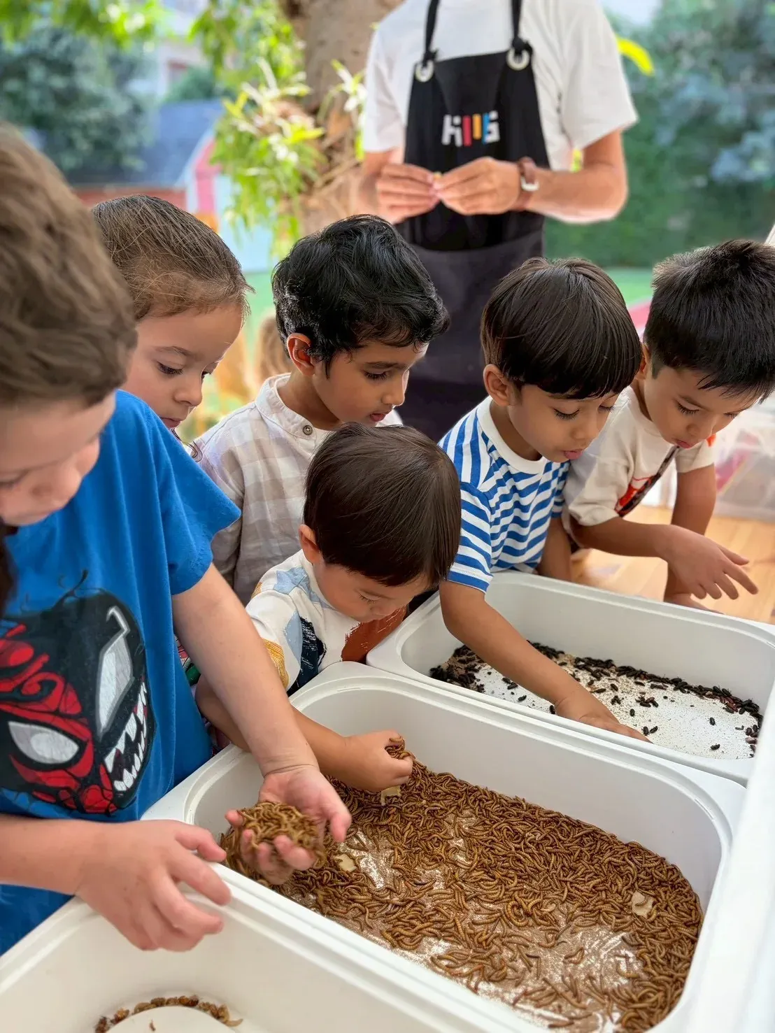 Children sorting the larvae, with the tray of beetles beside them