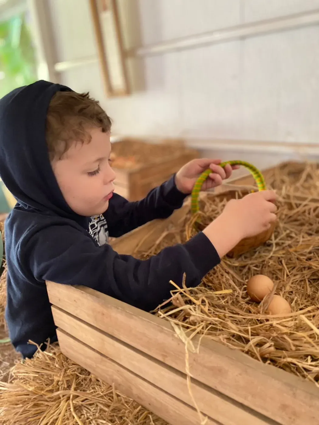 A child collecting eggs from the straw in the hen house
