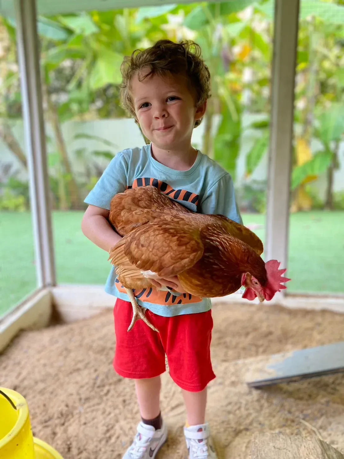 A boy standing in the run holding one of the school hens in both arms