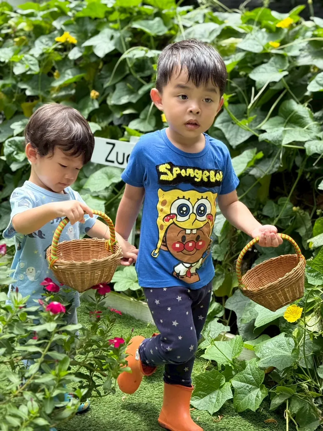 Children carrying baskets through the vegetable garden at harvest time