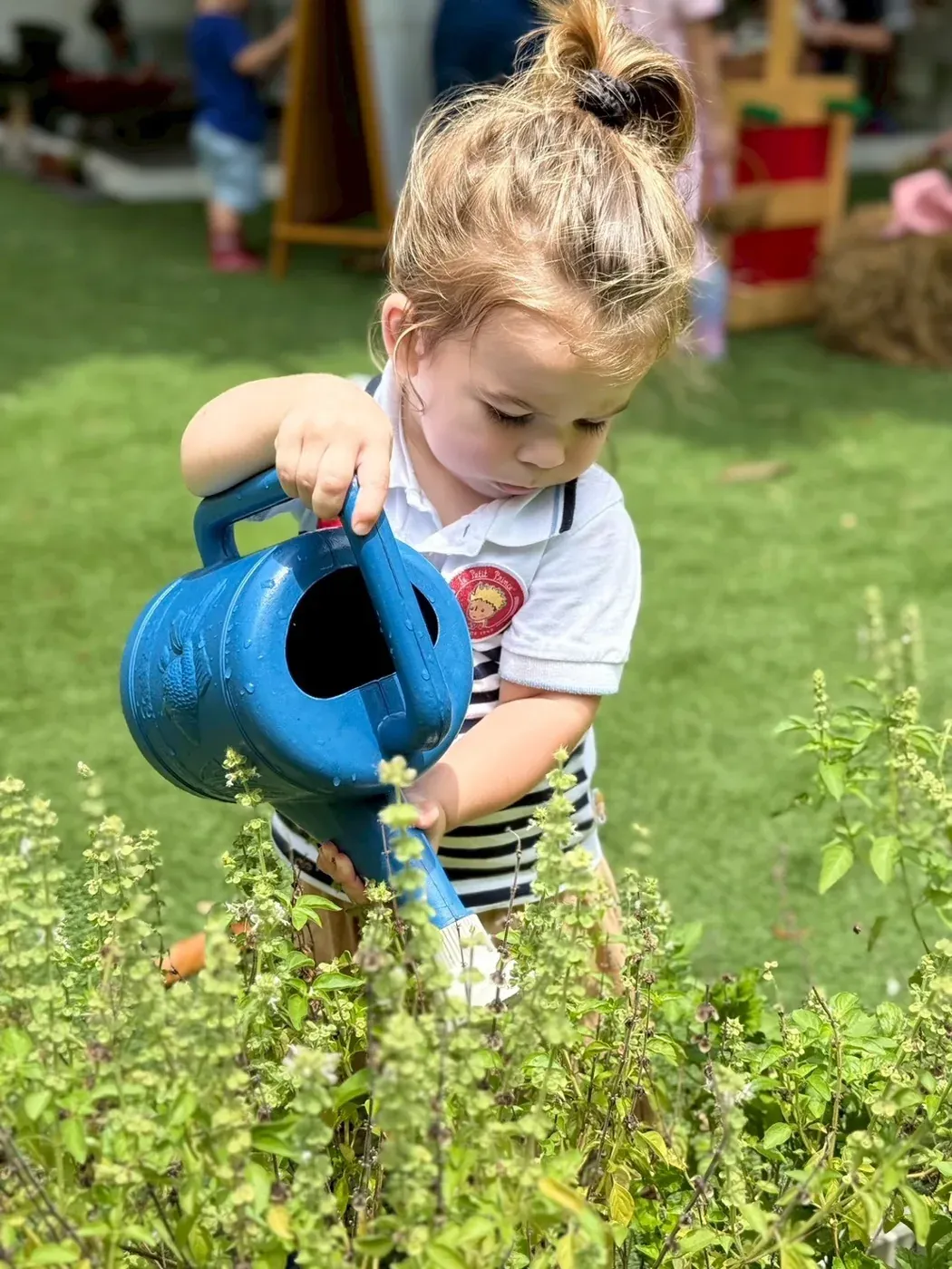 A toddler watering the herb bed with a blue watering can