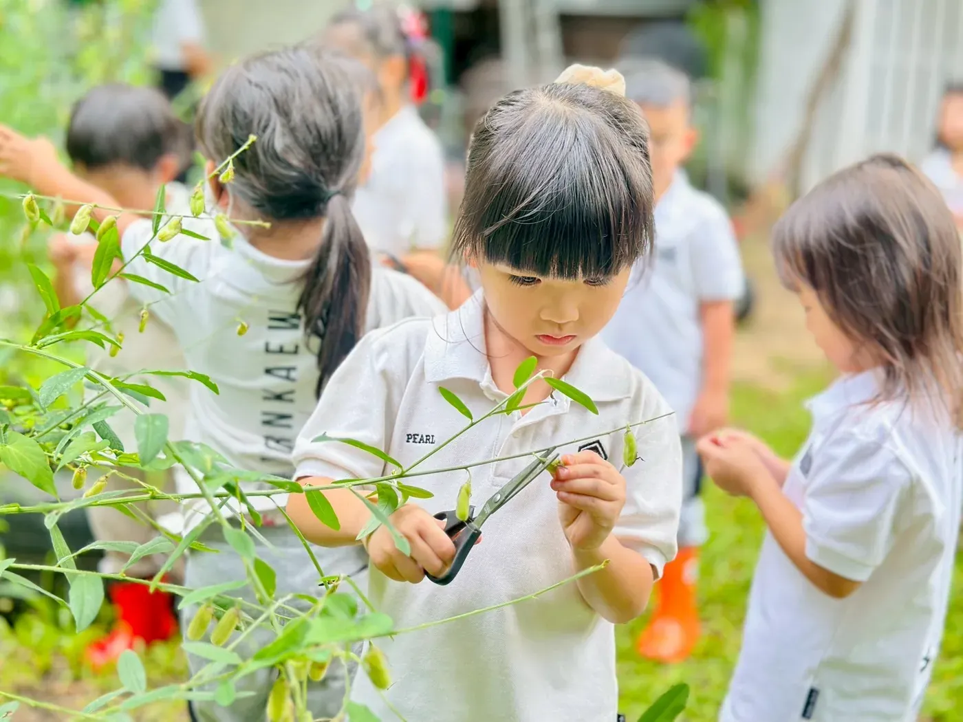 Kornkaew children in straw hats gathering leaves in the school garden