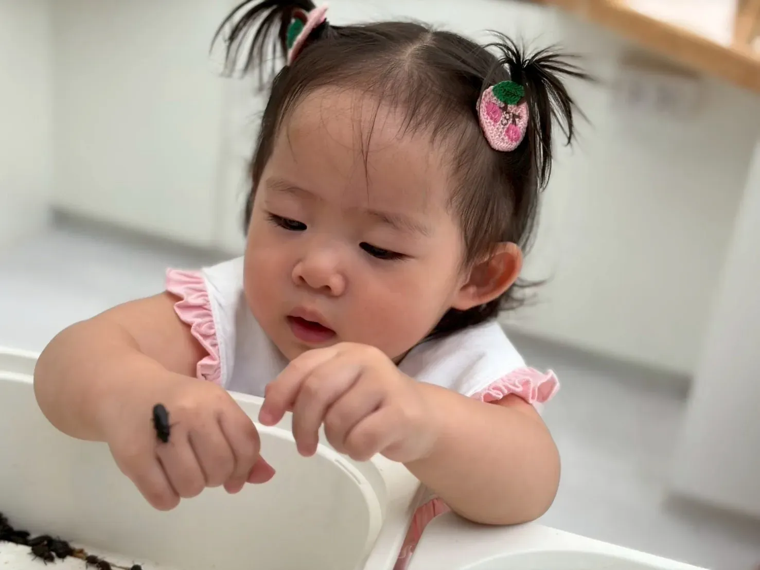 A toddler studying a beetle walking across the back of her hand